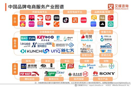 艾媒咨询 2022年中国品牌电商服务行业研究报告